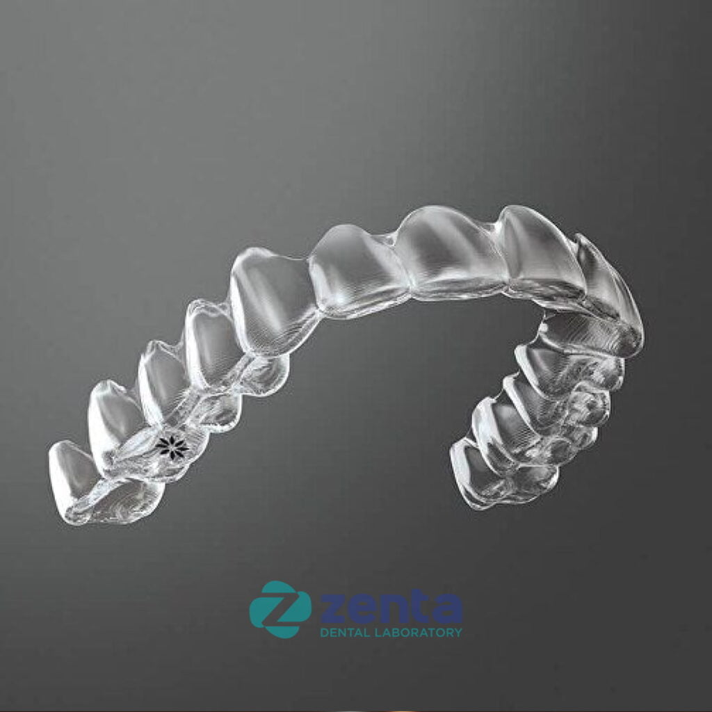 Ortho 1