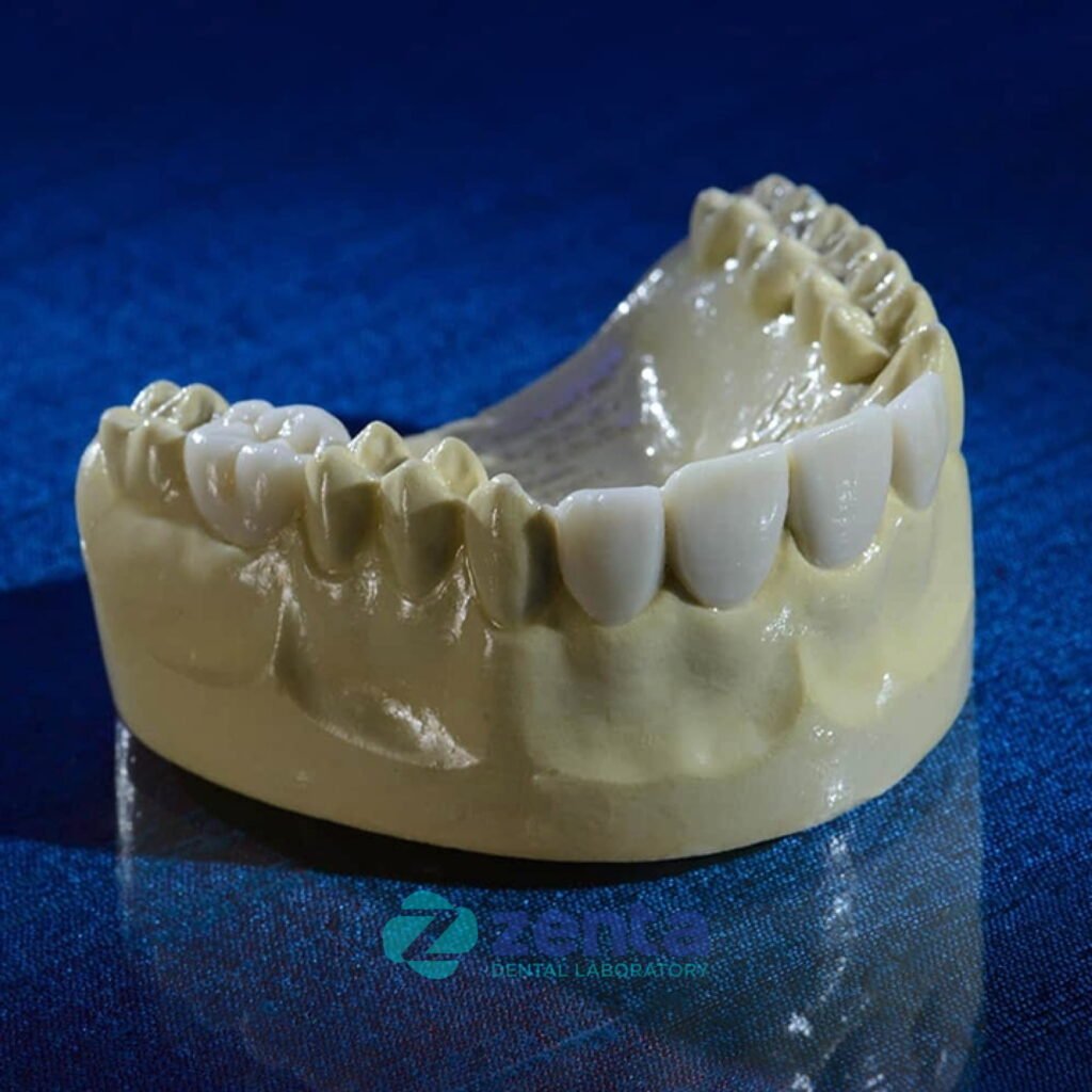 waxup model