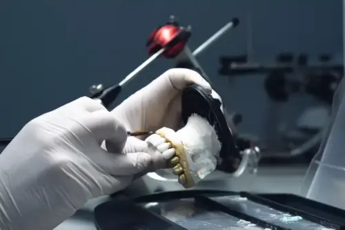 what is dental lab 2